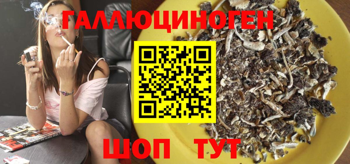 цены   Галлюциногенные грибы Cubensis  Вход с VPN  Саратов 