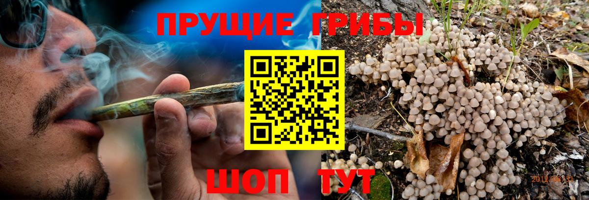 Псилоцибиновые грибы Magic Shrooms Саратов